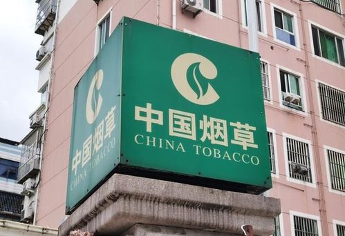 新疆煙草局校招開啟 擴招名額，高中起點，專業不限，軟件開發崗位吸引貴州學子